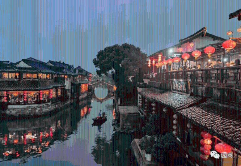 可怜猫的救援